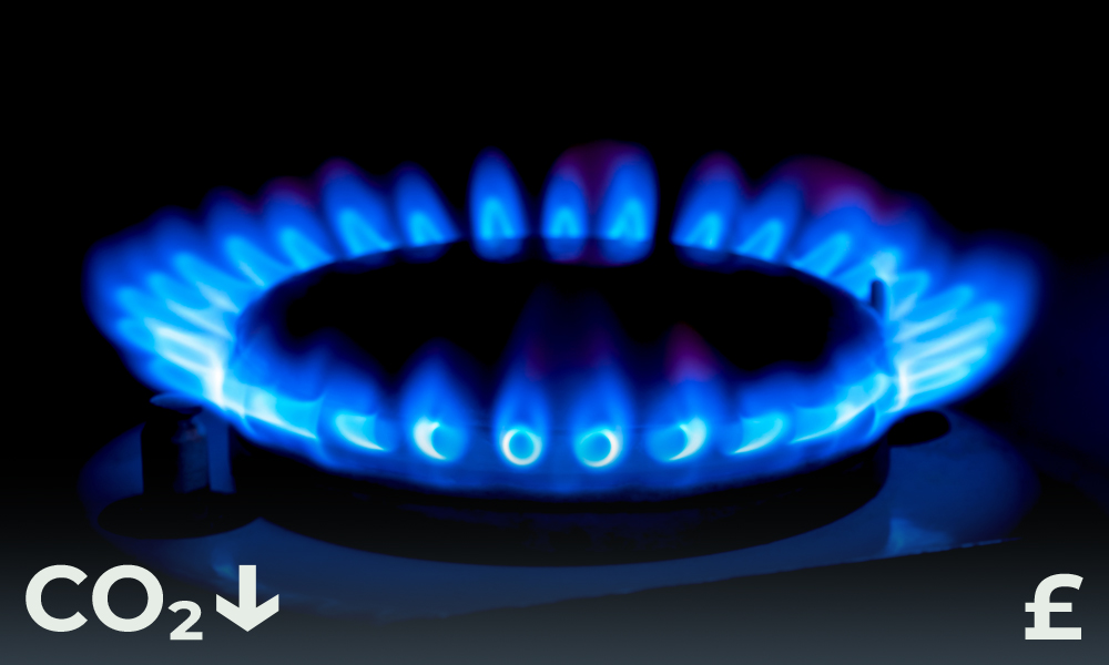 I will switch my home or business energy provider to a 'green' tariff for gas.