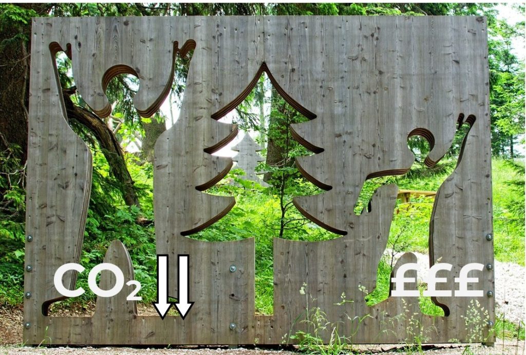 We will work with local people to create and run a community wood.