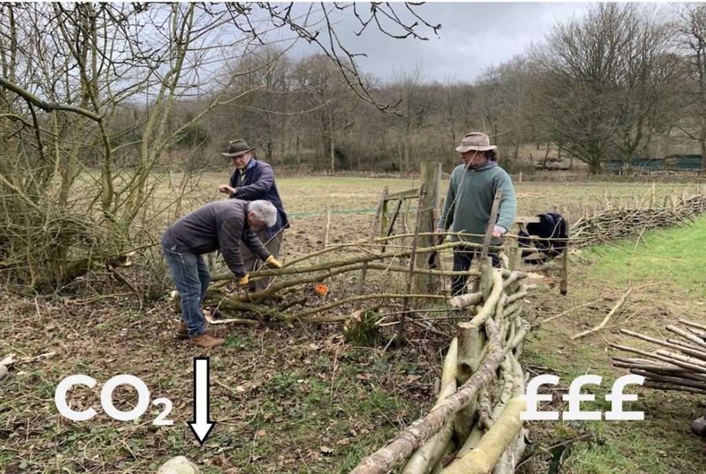 We will support traditional hedge laying as part of managing hedgerows in our area.