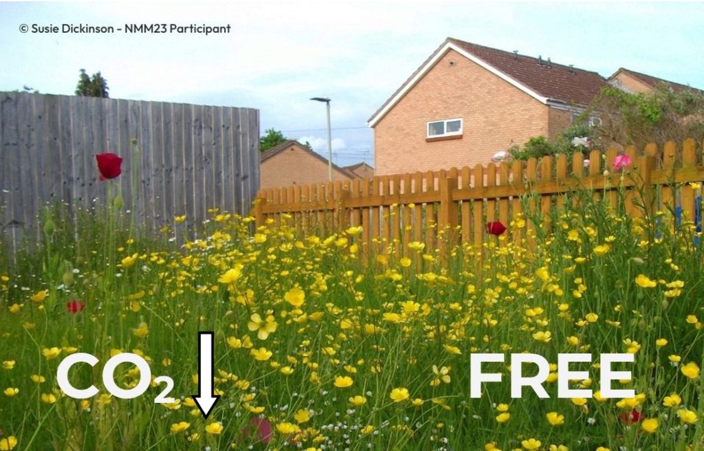 We will restrict mowing of public areas when wildflowers are appearing.