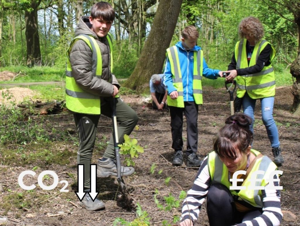 We will organise some local tree planting to be carried out by local residents.

(Image courtesy Carbon Footprint Ltd)